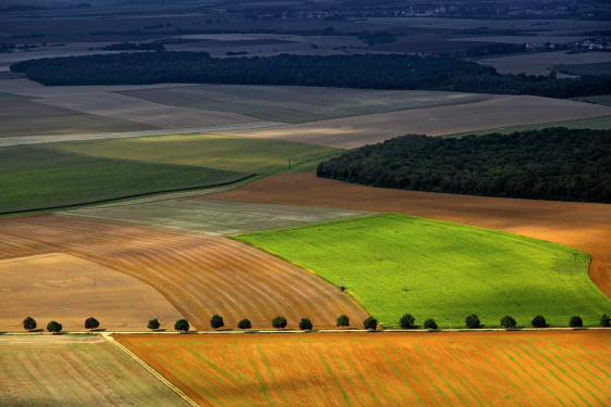 e-kinnistusraamat